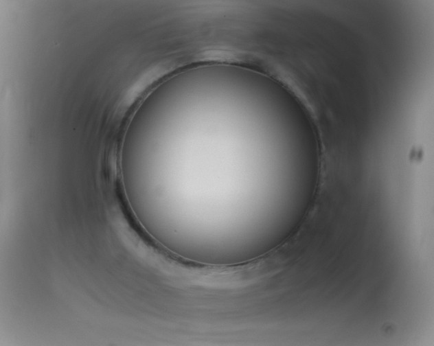 X0000114660011200910201541