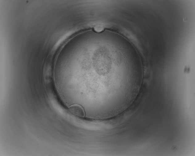 X0000114660012200910201541