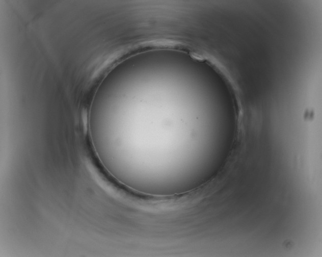 X0000114660013200910201541