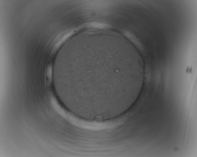 X0000114660014200910201541