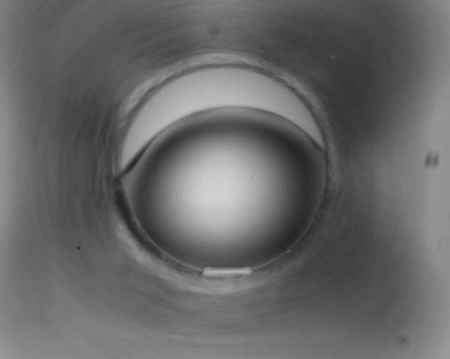 X0000114660015200910201541