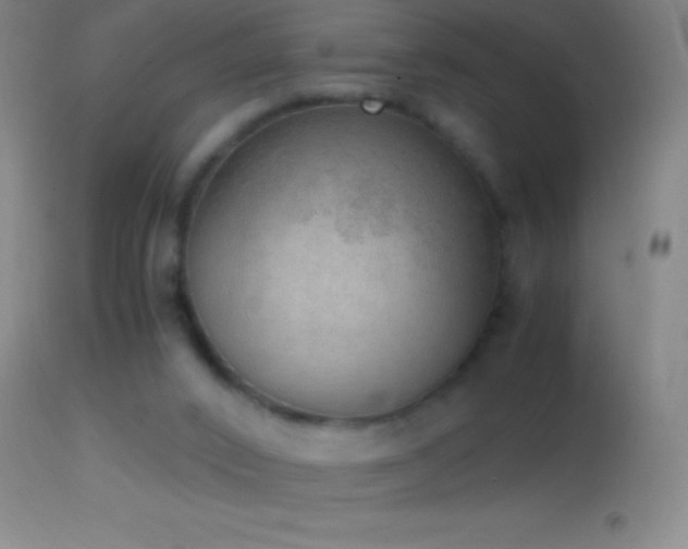 X0000114660016200910201541