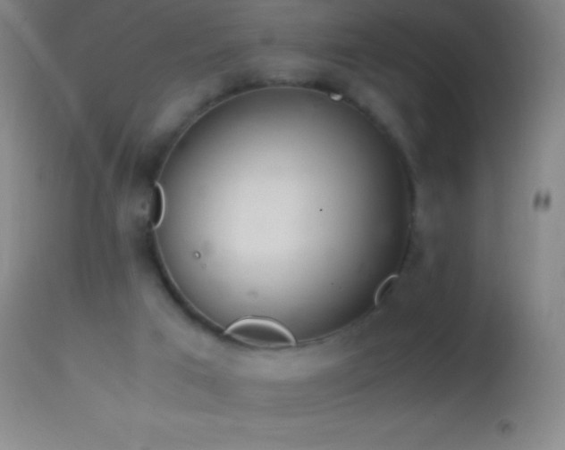 X0000114660017200910201541