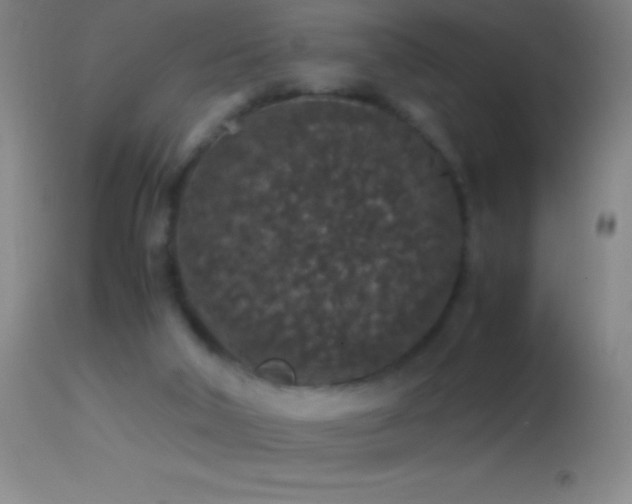 X0000114660018200910201541