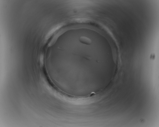 X0000114660019200910201540