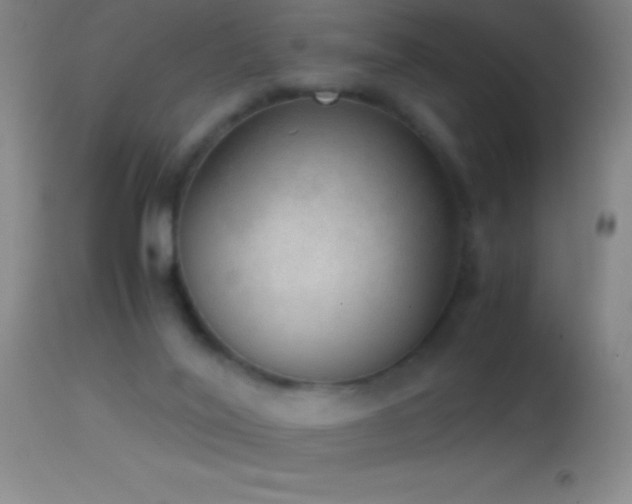 X0000114660020200910201540