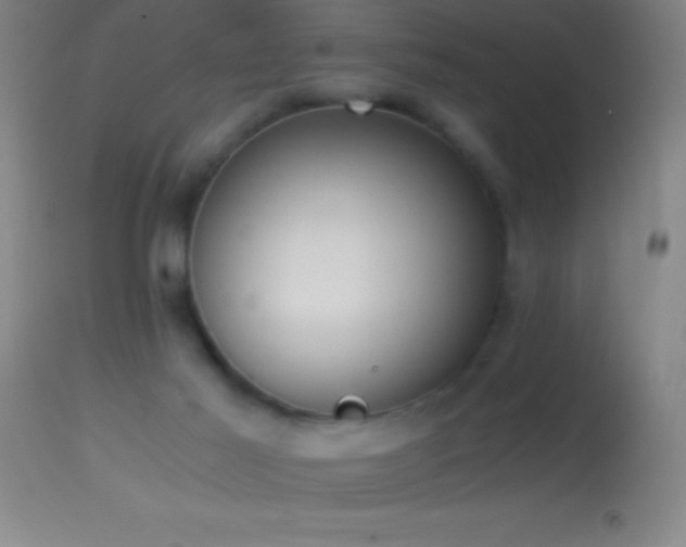 X0000114660021200910201540