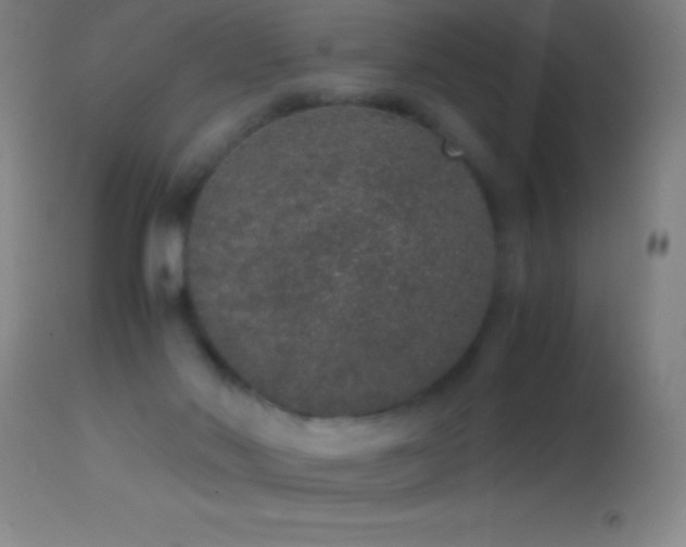 X0000114660022200910201540