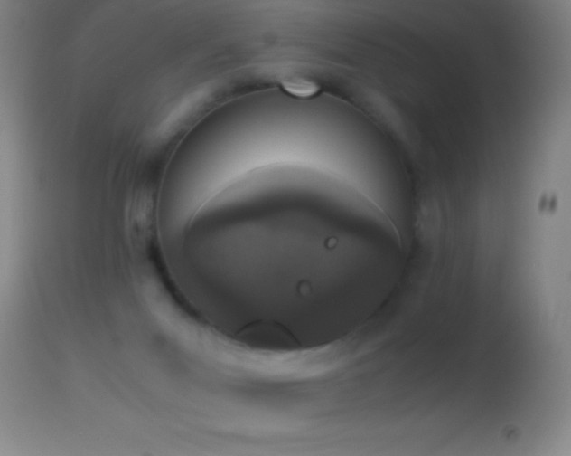 X0000114660023200910201540