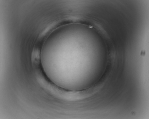 X0000114660024200910201540