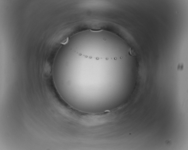 X0000114660025200910201540