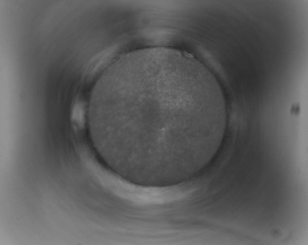 X0000114660026200910201540