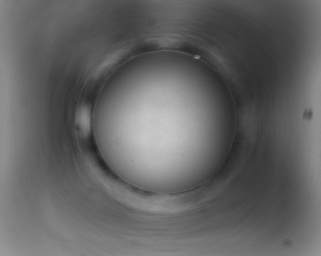 X0000114660028200910201540