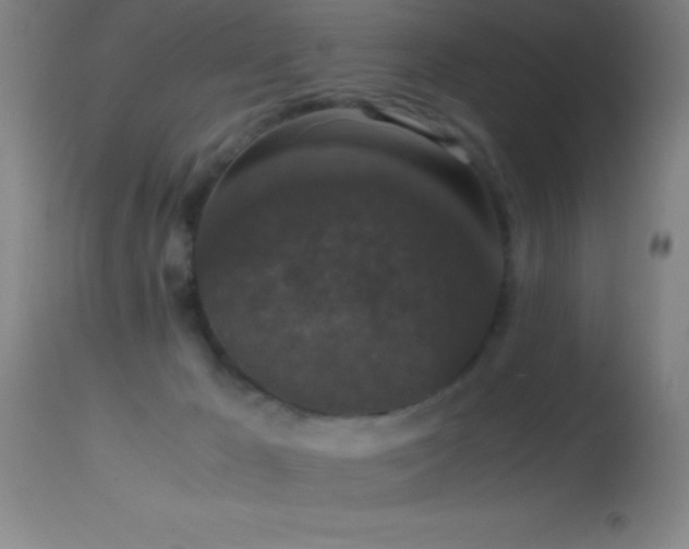 X0000114660029200910201540