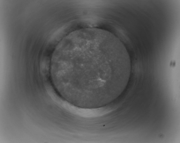 X0000114660030200910201540