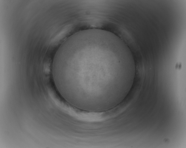 X0000114660032200910201540