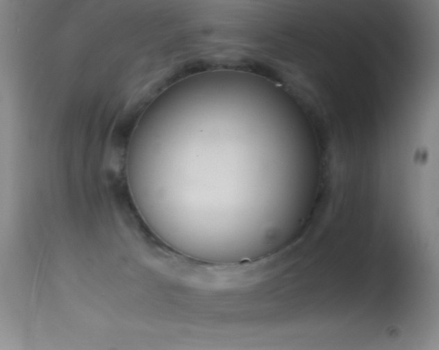 X0000114660033200910201540