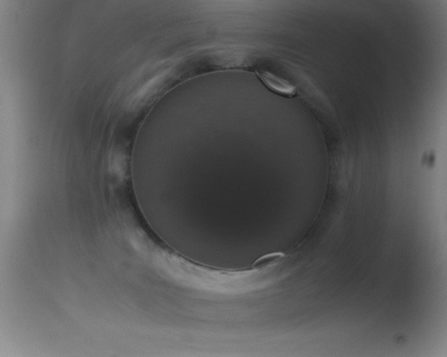 X0000114660035200910201540