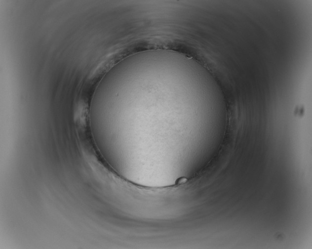 X0000114660038200910201540