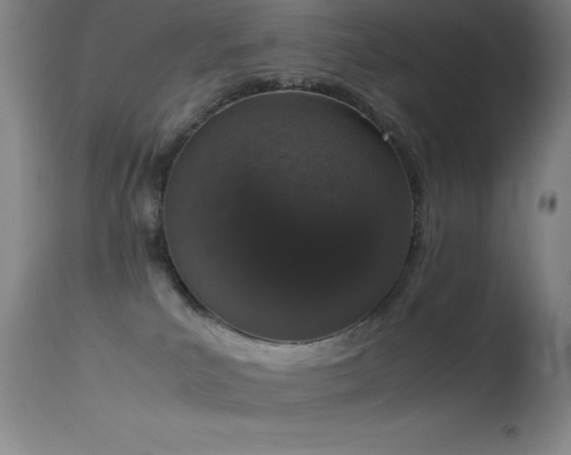 X0000114660039200910201540