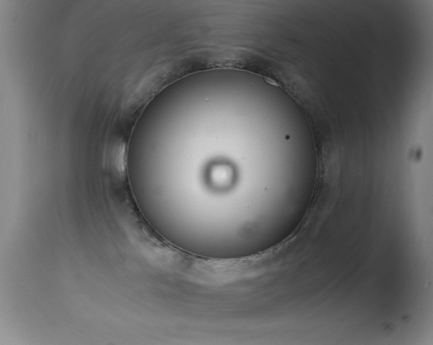 X0000114660041200910201540