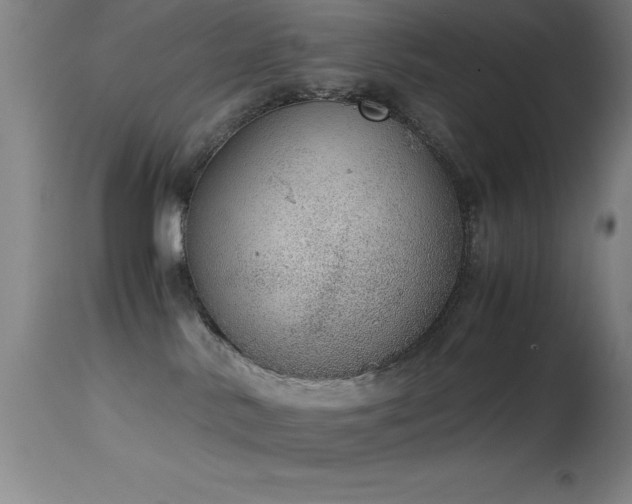 X0000114660042200910201540