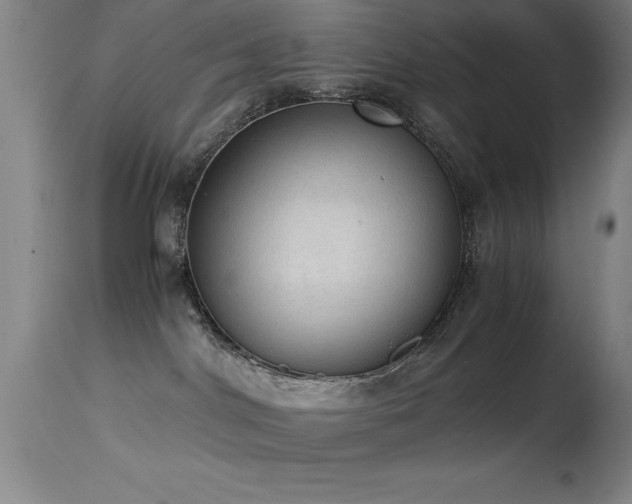 X0000114660044200910201540