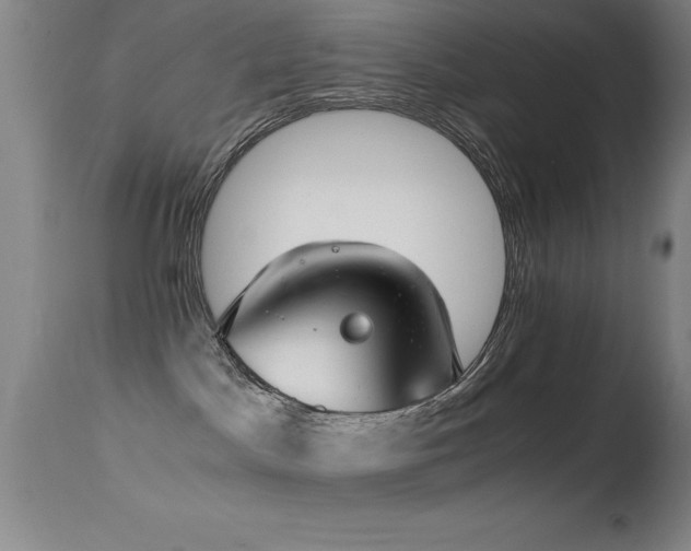 X0000114660045200910201540