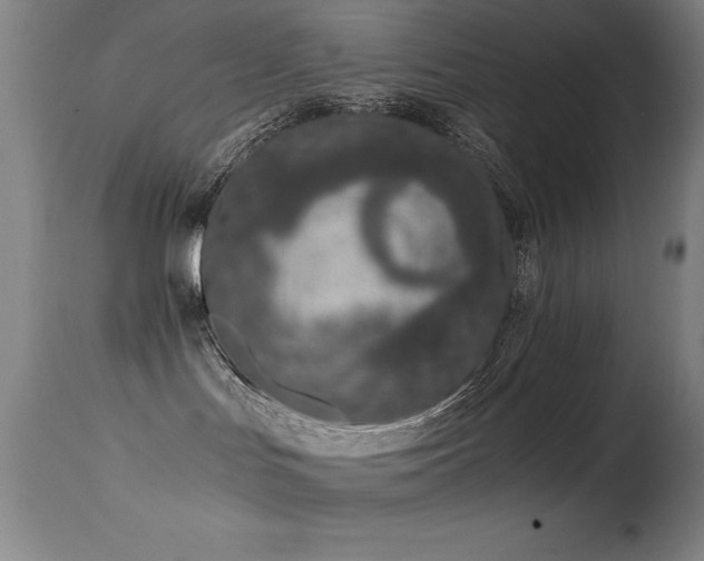 X0000114660047200910201540