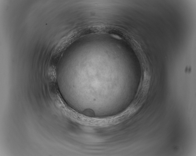 X0000114660048200910201540