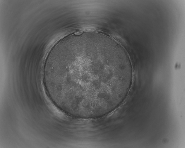 X0000114660049200910201539