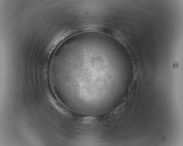 X0000114660050200910201539