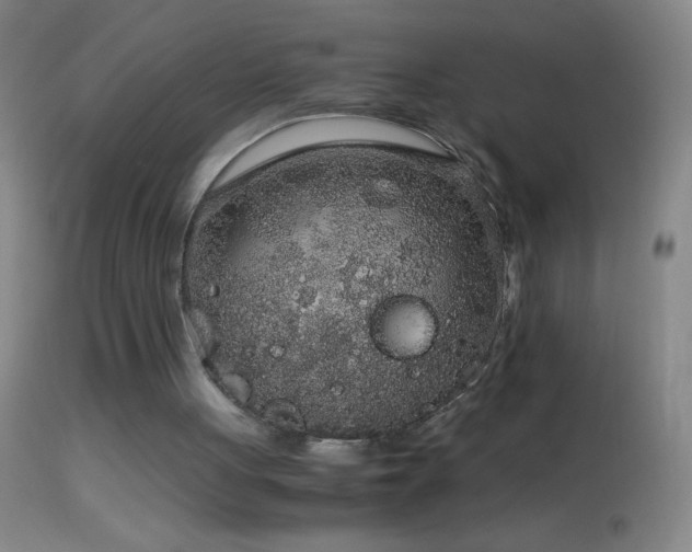 X0000114660051200910201539