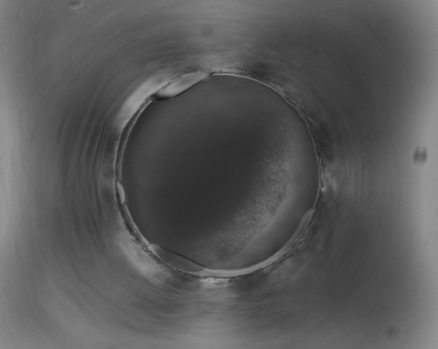 X0000114660052200910201539