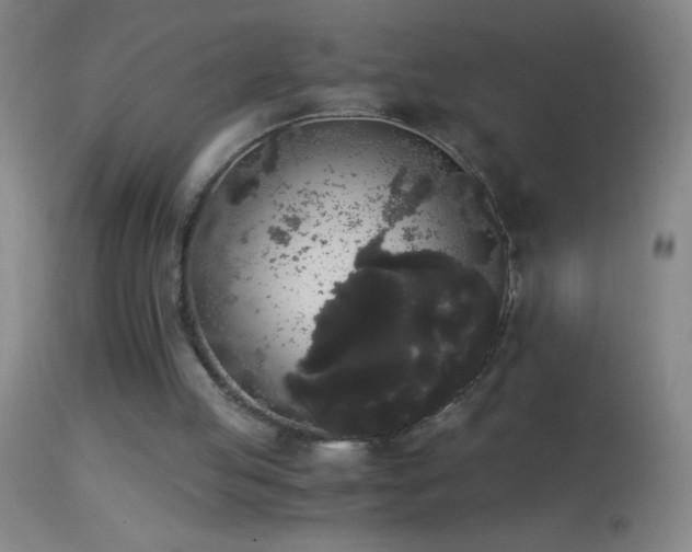 X0000114660053200910201539