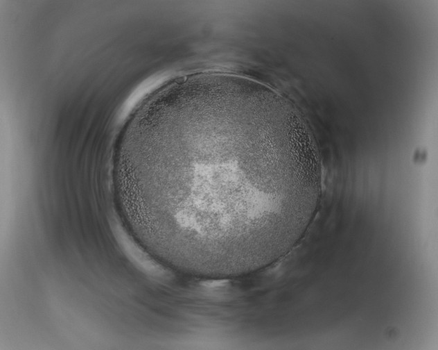 X0000114660054200910201539