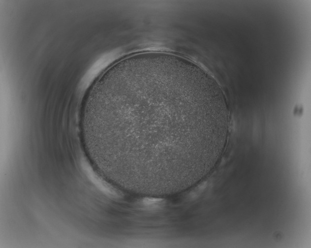 X0000114660055200910201540