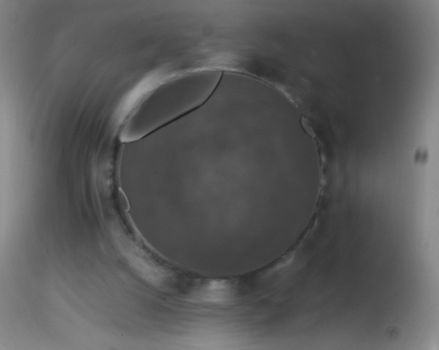 X0000114660056200910201540