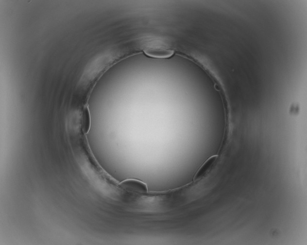 X0000114660057200910201540