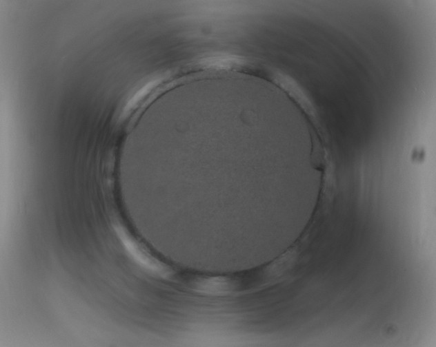 X0000114660058200910201540