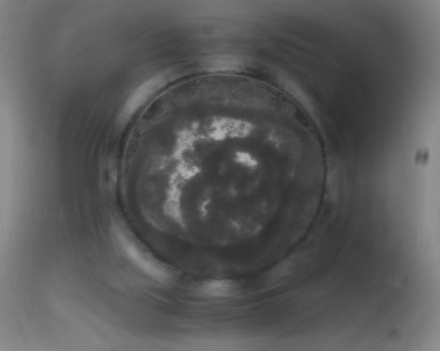 X0000114660059200910201540