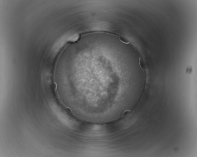 X0000114660060200910201540