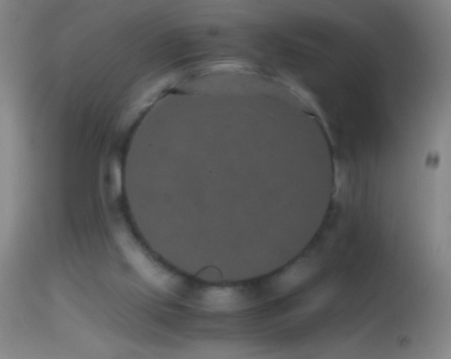 X0000114660061200910201540