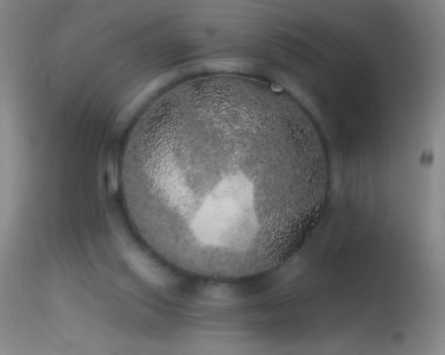 X0000114660062200910201540