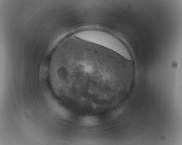 X0000114660063200910201540