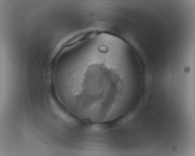 X0000114660064200910201540