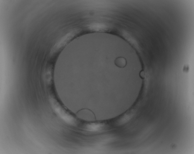 X0000114660065200910201540