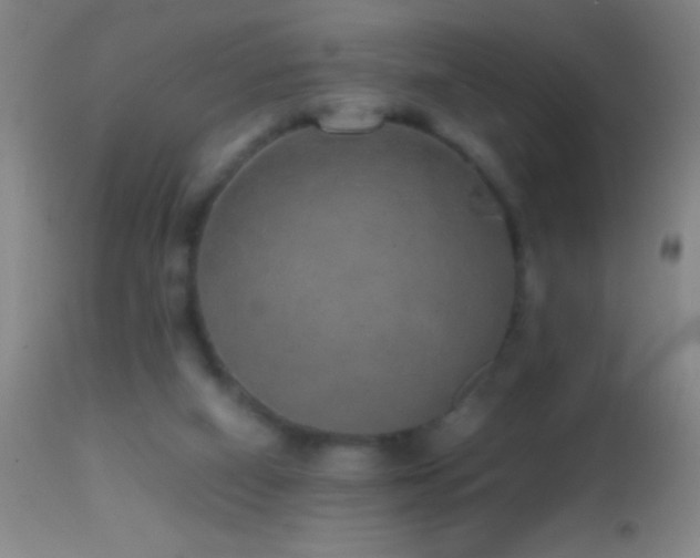 X0000114660066200910201540