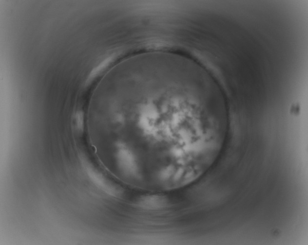 X0000114660067200910201540