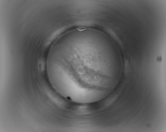 X0000114660068200910201540